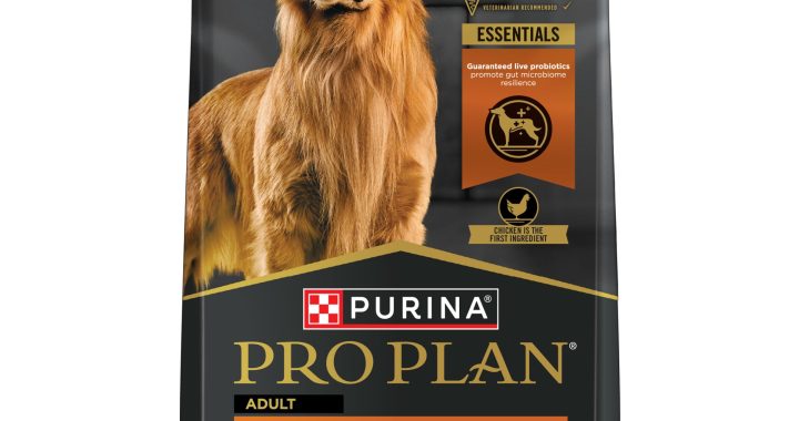Purina Pro Plan Shredded Blend Chicken and Rice Dog Food Review: Is It Worth Buying?