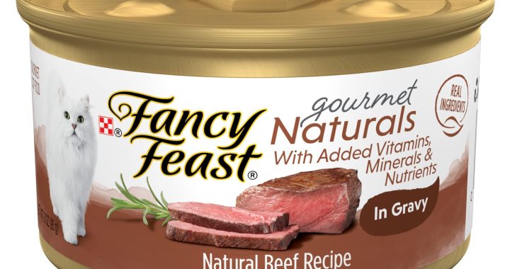 Purina Fancy Feast Gourmet Naturals Beef Wet Cat Food Review: Worth It?